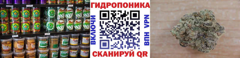 Canna-Cookies конопля дарнет шоп Волоколамск
