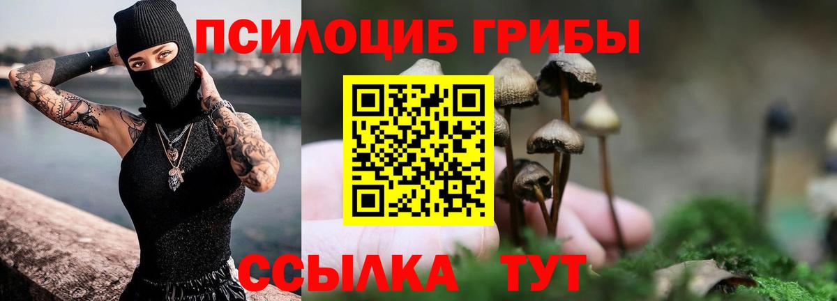 Псилоцибиновые грибы Cubensis Волоколамск